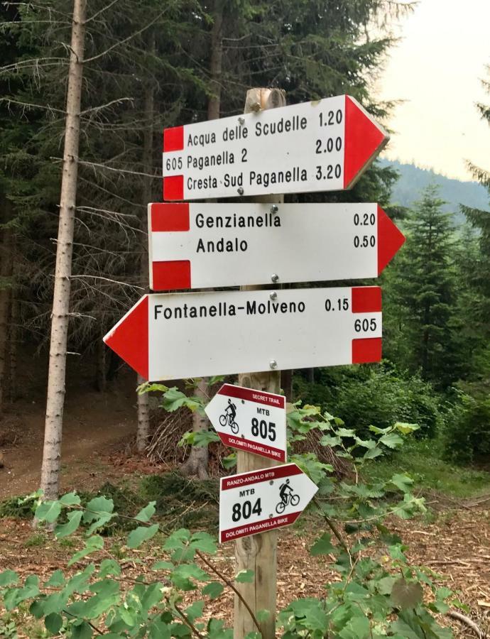 Genzianella Molveno-Andalo Daire Dış mekan fotoğraf