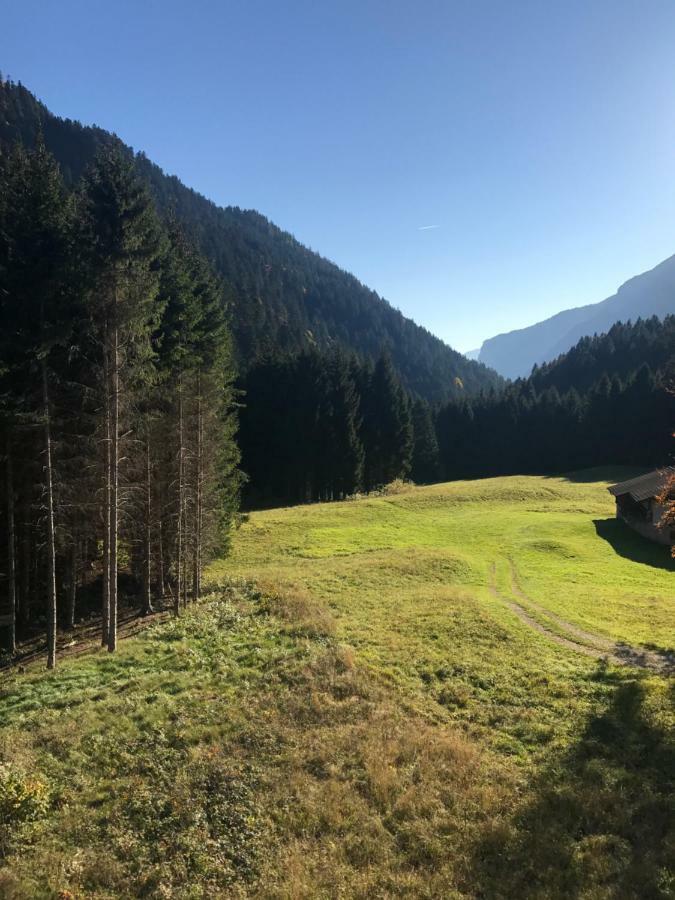 Genzianella Molveno-Andalo Daire Dış mekan fotoğraf