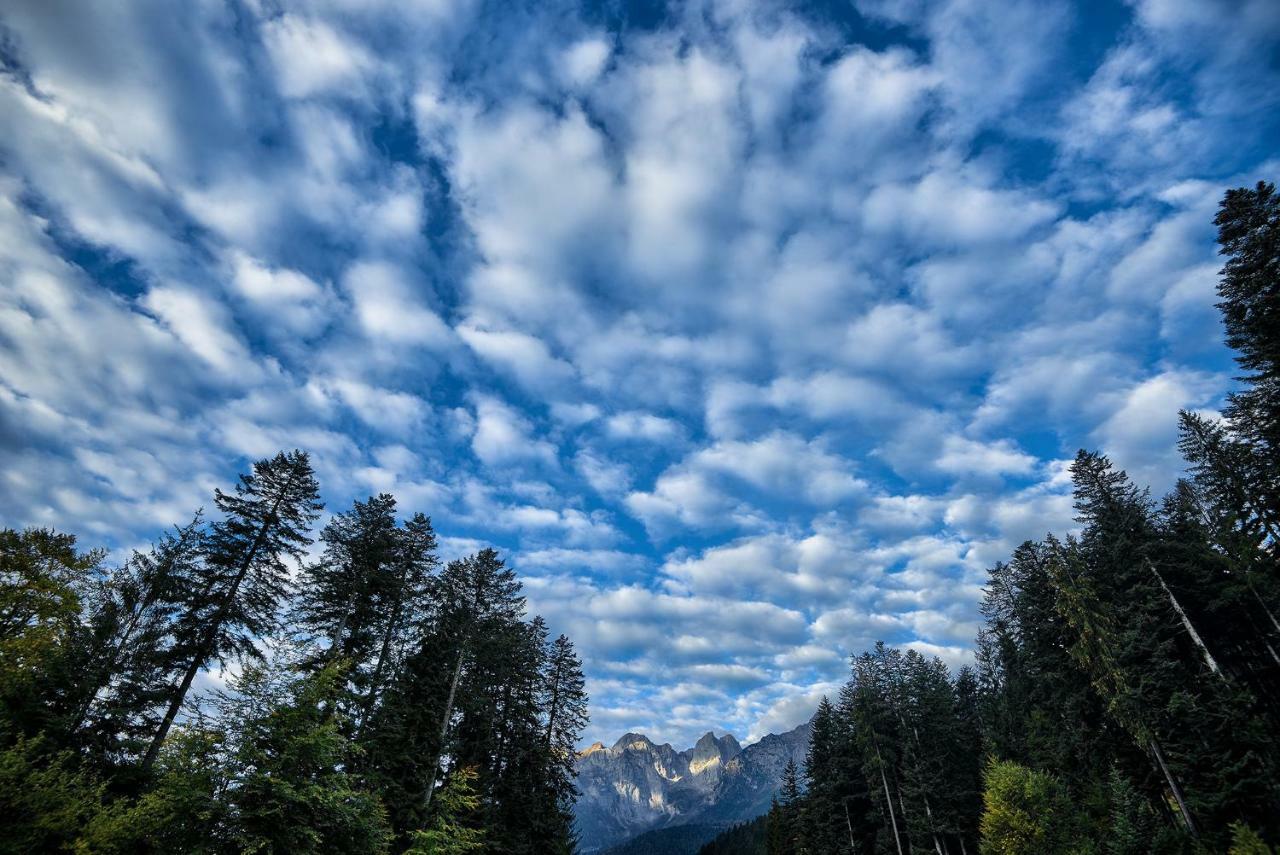 Genzianella Molveno-Andalo Daire Dış mekan fotoğraf